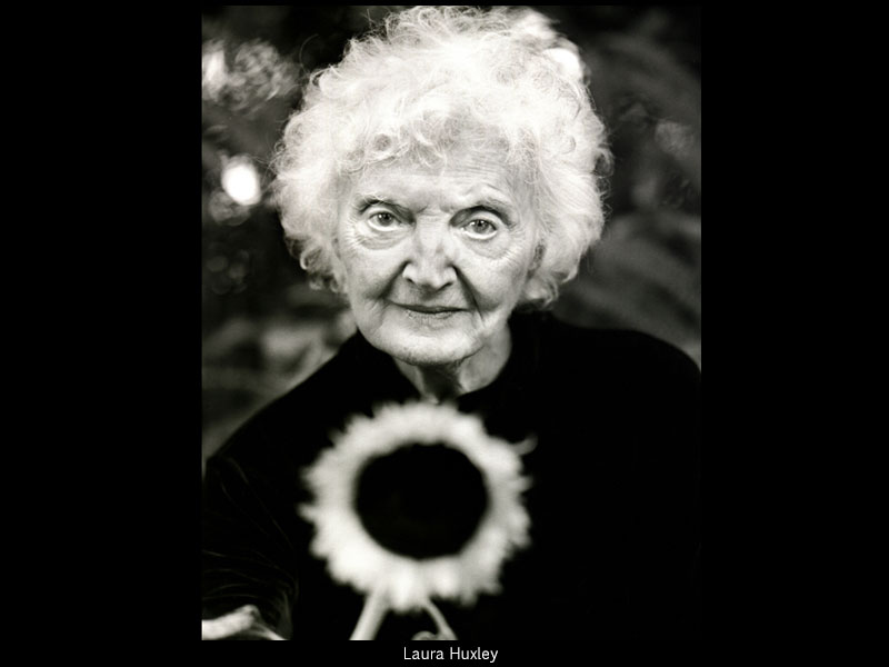 Laura-Huxley-Closeup-with-SunflowerS