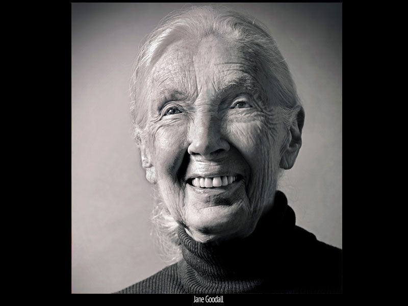ap-Jane-Goodall