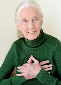 Jane Goodall - Option 2