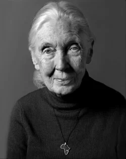 Jane Goodall - Option 3
