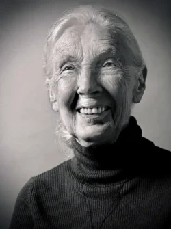 Jane Goodall - Option 1