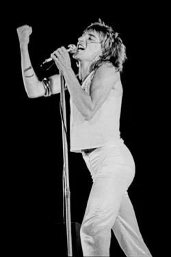 Rod Stewart - Option 3